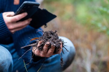 farmer in agriculture looking at a soil sample, on a farm .