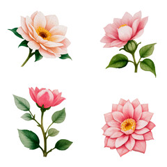 Watercolor Style Set of Flowers Png Clipart on Transparent Background