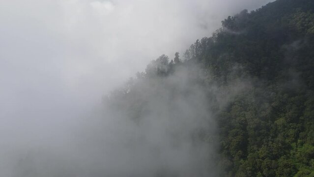 Aerial view of Foggy Tropical Forest in Lawu Mountain in indonesia