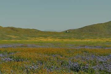 Scenic landscape of a rolling hillside with lush green grass and colorful wildflowers in bloom