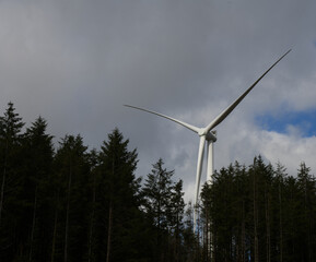 wind turbine behind trees