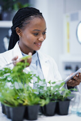 Plants, black woman or scientist reading notes for research, data analysis or sustainability...