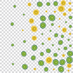 Sunny Citrus Background Transparent Vector. Lemonade Pattern. Grass Fruit Wrapping. Tropical Fruit Bright Set.