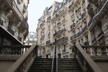 Paris building façades, characteristic roofs, and more.

It gathers many types of buildings, coming from various districts of the city; all passing through various settings of the day.