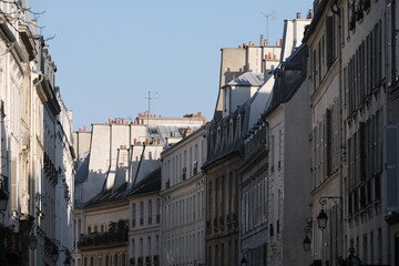 Paris building façades, characteristic roofs, and more.

It gathers many types of buildings, coming from various districts of the city; all passing through various settings of the day.
