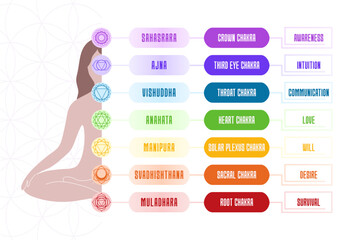 7 chakras chart with meanings and body silhouette. Vector illustration banner.