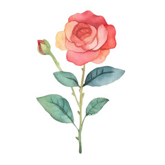 Rose Flower - Cute Hand Painted Style - Childish Watercolor Drawing - Fairy Tale Fantasy - Generative AI