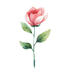 Obraz premium Rose Flower - Cute Hand Painted Style - Childish Watercolor Drawing - Fairy Tale Fantasy - Generative AI