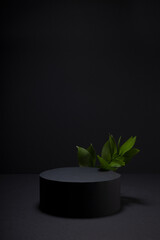 Black abstract stage with one circle podium mockup, tropical green leaves, template for presentation cosmetic products, goods, design, advertising, sale, spa treatment, skin care style, vertical.