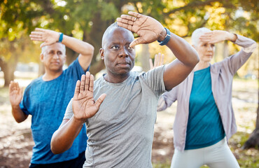 Fitness, tai chi and senior people in park for healthy body, wellness and active workout outdoors....