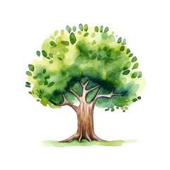 Little Green Tree - Cute Hand Painted Style - Childish Watercolor Drawing - Fairy Tale Fantasy - Generative AI