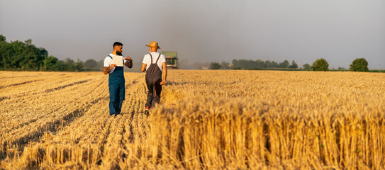 Two farmers walking on golden wheat field during harvest in summer. Seasonal agricultural works