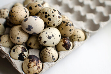 Quail eggs in a paper tray