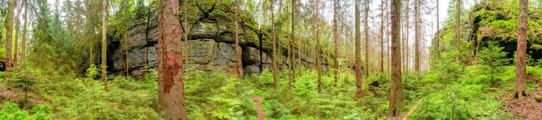 Panoramic with magical enchanted fairytale forest, sandstone rocks named Kleinhennersdorfer Stein...