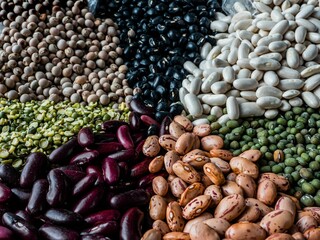 Variety of colorful beans and legumes arranged on a platter - obrazy, fototapety, plakaty