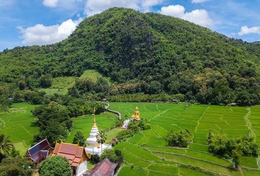 the Big Buddha of the Wat Khuha in the country side of Ban Nakhuha near the city of Phrae in the north of Thailand.