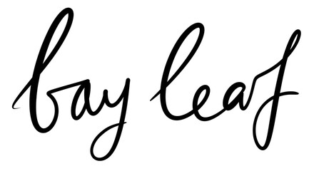 simple design element lettering inscription for printing packaging logo spices bay leaf hand drawn style black color