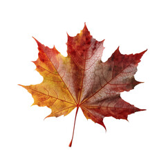 Beautiful autumn leaf isolated on white background with clipping path. Full Depth of field. Focus stacking. PNG. Generative AI technology