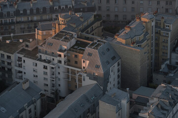 Fototapeta premium Paris building roofs, photos taken from the heights of Paris.It gathers many types of buildings with characteristic Parisian roofs, from various districts of the city. 