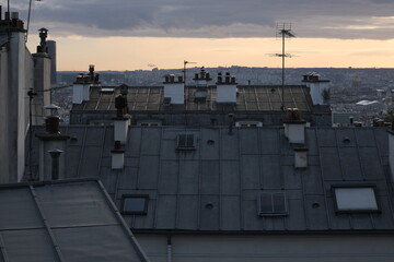 Fototapeta premium Paris building roofs, photos taken from the heights of Paris.It gathers many types of buildings with characteristic Parisian roofs, from various districts of the city. 