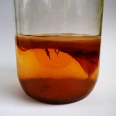 Kombucha. nearby, a kombucha in a large glass jar stands on a gray background.  the process of making a summer drink. mushroom