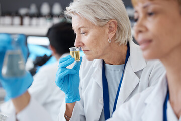 Essential oil, development and scientist smell sample in a lab doing research of organic and...