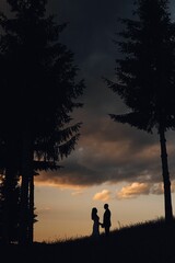 Silhouette of a newlywed couple beneath a vibrant sunset, silhouetted against tall trees.
