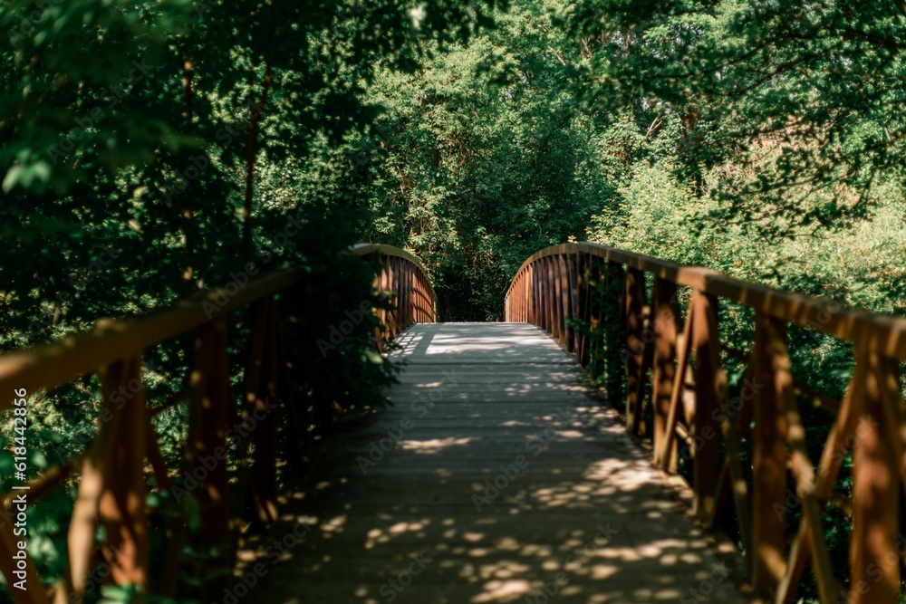 Poster scenic footbridge in a tranquil forest setting, leading to a path through the trees
