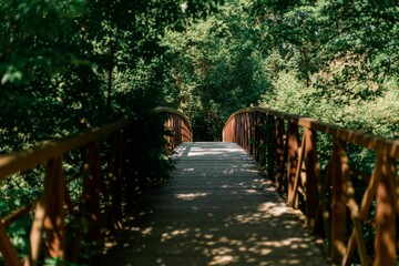 Scenic footbridge in a tranquil forest setting, leading to a path through the trees
