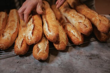 Baker working in the kitchen, preparing loaves of bread