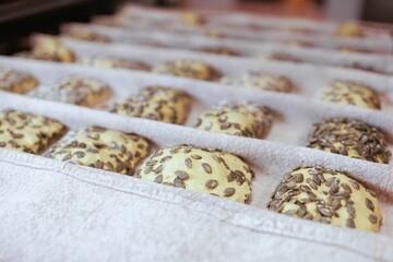 Closeup of a tray of kneaded dough with seeds