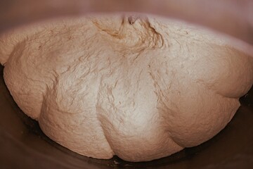 Closeup of a bowl of kneaded dough