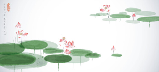 Pink lotus flowers in a serene pond on white background. Traditional oriental ink painting sumi-e, u-sin, go-hua.