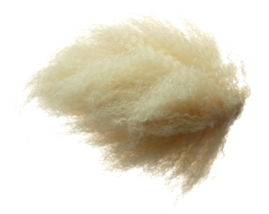 Afro Wig hair style fly fall explosion. Golden blond afro woman wig hair float in mid air. Afro wig hair extension wind blow cloud throw. White background isolated high speed freeze motion
