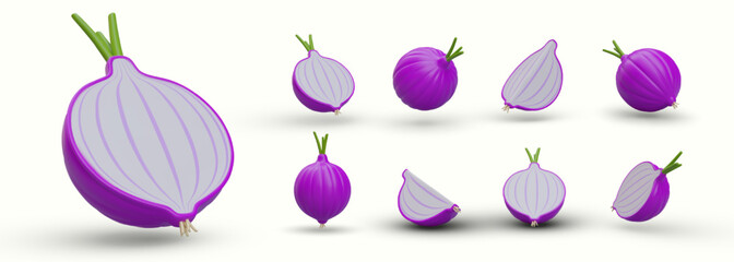 Collection of realistic red onions. Purple vegetables. Whole bulbs, halves, quarters, view from different sides. Isolated vector image with shadows. Illustration for culinary sites, recipes