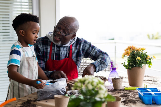 Happy african american grandfather and grandson planting flowers on terrace - Powered by Adobe