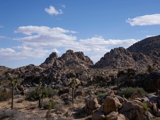 Scenic view of rock formations in Joshua Tree Desert, California