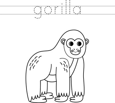 Trace the letters and color cartoon gorilla. Handwriting practice for kids.