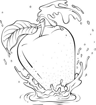 recommend clip art: Whole apple with leaf in juice or water splash. Liquid drops. Vector illustration in hand drawn sketch doodle style. Line art ingredient for fresh juice isolated on white. Close up fruit coloring book