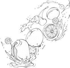 Flying various whole fruit with juice or water splash. Liquid drops. Vector illustration in hand drawn sketch doodle style. Line art ingredient for fresh juice isolated on white. Still life eco fruits