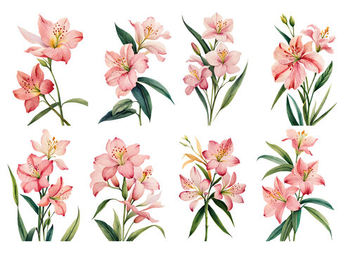 Watercolor alstroemeria set. Generative Ai