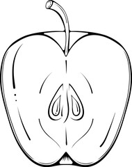 Half cut apple. Vector illustration in hand drawn sketch doodle style. Line art botanical natural ingredient for fresh juice isolated on white. Close up summer fruit. Coloring book page