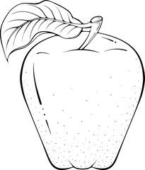 Whole apple with leaf. Vector illustration in hand drawn sketch doodle style. Line art botanical natural ingredient for fresh juice isolated on white. Close up summer fruit. Coloring book page