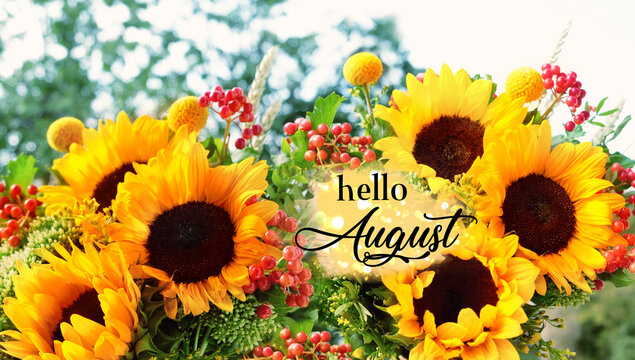 Hello August. Bright floral bouquet with sunflowers close up, abstract natural background. summer season. August month calendar concept.