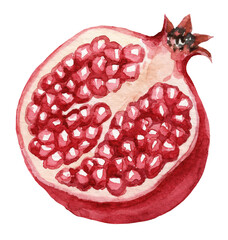 Fruit Pomegranate - Illustration. Hand drawn watercolor picture on white background.