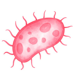 Bacteria, virus, Germ