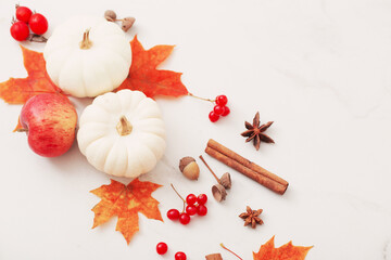 autumn natural decor on white marble background