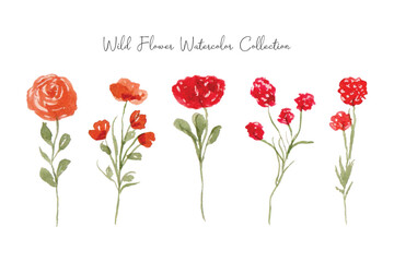 a set of cute hand painted red wild flower and leaf watercolor