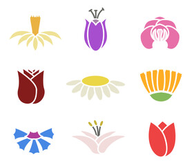 Simple colorful flowers. Botanical nature modern trendy elements vector illustration.