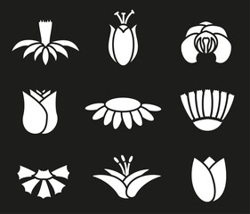 Simple hollow white flowers. Botanical nature modern trendy elements vector illustration.